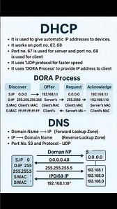 DHCP and DNS Explained | What is DORA Process in Networking?