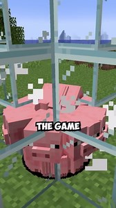 Breaking Minecraft's entity cramming limit