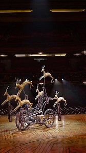 2.9K views · 26 reactions | ¿Recuerdas en qué momento del musical aparece? ✨⚡ ¡Te leemos! Consulta las próximas funciones con mejor disponibilidad para el mes de julio en nuestra web ️ 女 Leticia Cardoso | El Rey León, el musical | Facebook