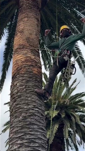 Australia Day vibes 🇦🇺