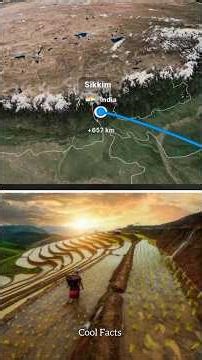 All' State Nickname ❤️