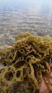 Net Net #dagat2025 #dagatislife | Tinderong Blogger