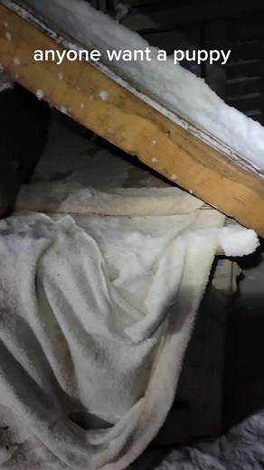 Bruce Jacob (@bruceleejacob)’s videos with original sound - Bruce Jacob