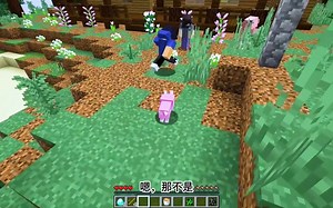 【Aphmau】我的秘密女孩狼在我的世界里祈祷_哔哩哔哩bilibili_我的世界