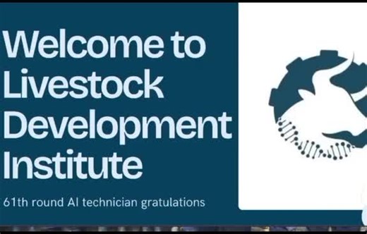 @LDI2024 (@ldi2024)’s videos with original sound - @LDI2024