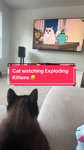 #explodingkittens #catsoftiktok #funny #cutecat