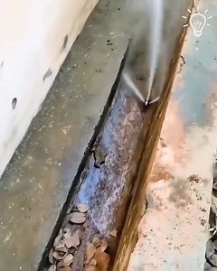 1.4M views · 4.4K reactions | Top Notch Cleaning Machines! 﫧粒  | Cute Cat Corner | Facebook