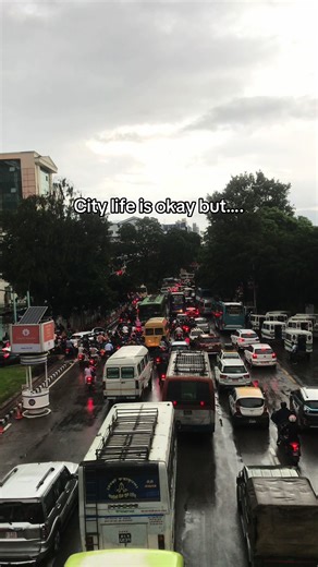 Exploring the Benefits of Countryside Living