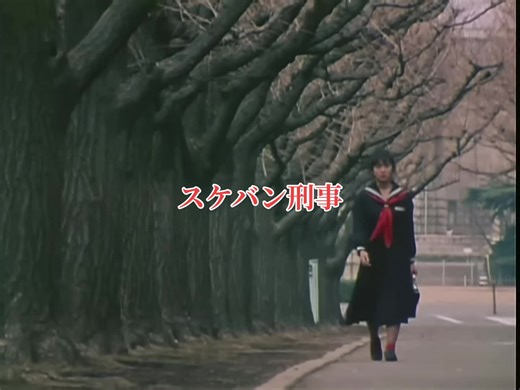 スケバン刑事の魅力と斉藤由貴の激白