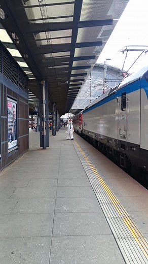 Refrigerators? No - Trains! 😁🚂🐶 ▶️ Lick ( Please do not repost video without my consent, ESPECIALLY TO TIKTOK, I DO NOT HAVE TIKTOK AND I REFUSE MY VIDEOS TO BE UPLOADED THERE ) | Bolt Railway Dog