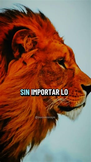 Karma Siempre Regresa #mindsetdeoro #reflexion #motivacion