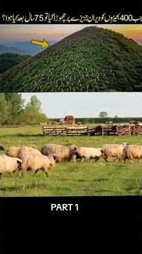 400 چرواہوں کا راز 😱 جو 75 سال بعد سامنے آیا | Part 1