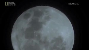 She's a wolf ... in mouse clothing - Coub