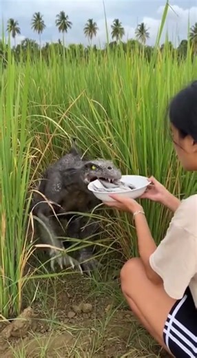 A Terrifying Creature Was Hiding in the Tall Grass 😱