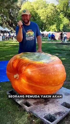 Lomba Labu: Cerita Tak Terduga Seorang Pemuda