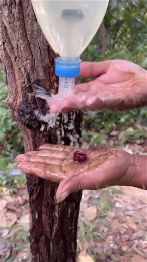Survival Skills： SIMPLE and USEFUL save SOAP & Water #campping #outdoors #outdoorslife