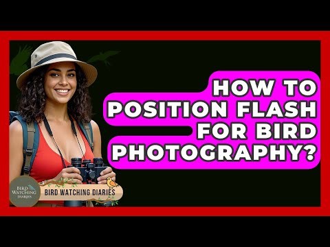 How To Position Flash For Bird Photography? - Bird Watching Diaries