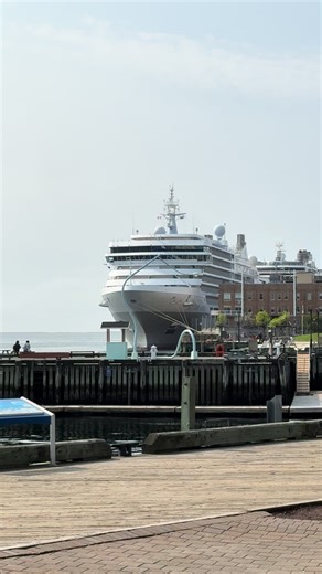 Johnny Bravo on TikTok