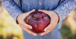 421K views · 410 reactions | Tis the season to give thanks! Share what you are most thankful for by Nov 14 for a free gift. Click through to enter. | Shutterfly | Facebook