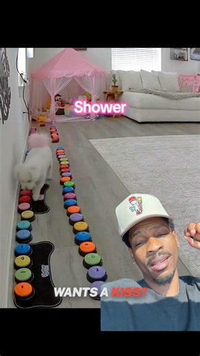 Dog Uses Communication Buttons to Request Shower and Kisses from Owner #EasyCallGOE #Dogs #Pets