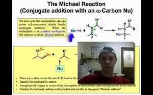 有机化学人名反应 The Michael Reaction