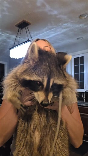 Booksterz (@dan_0418)’s videos with DOPE BOY - Offset & Young Nudy