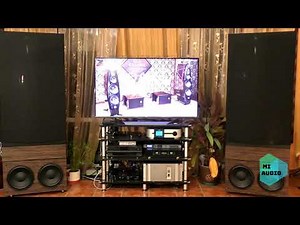 MARTIN LOGAN CLS II - Electostatic panel with active bass cabinets