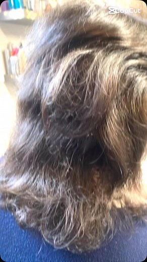 Homeira Montaghami on Reels