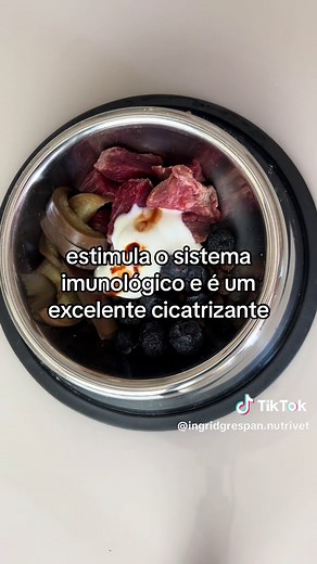 Mix Feeding for Dogs: A Guide to Healthy Nutrition