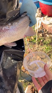 Zov.Fish on Reels
