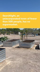35 reactions | The community garden in Searchlight grows magic. Not really, but residents of the southern Clark County town like to think so. Read more at our link in bio. | Las Vegas Sun | Facebook