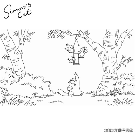 Don't mess with Tom, Dick and Harry! 😾🐦🐦🐦 Pre-Order all the Mini Meows here: https://simonscatmerch.com/en-eur/products/simonscatmeows | Simon's Cat