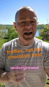 The 2 common types of truffles you're likely to see are white and black truffles. They are mostly found in Italy and franc, but do grow in regions of the U.S. If you get the chance to try these mushrooms, do it! #wotd #mushrooms #eat #education #wordoftheday | Bob Morano | Facebook