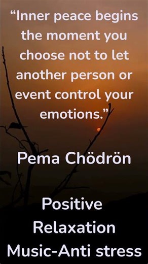 Relaxing & Zen Playlist – Bien-être, méditation et détentear your mind, relax, sleep