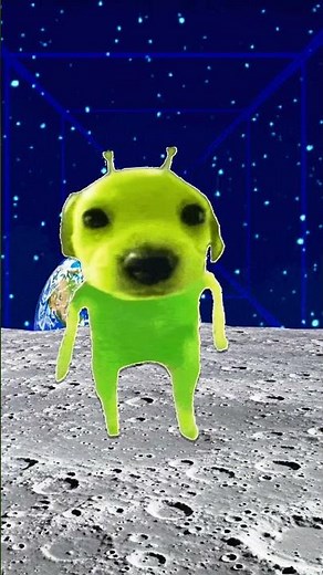Alien Dog MEME