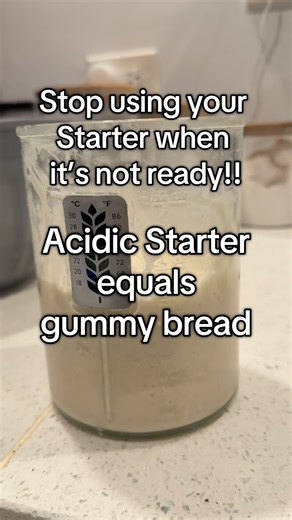 Shannon Marie’s Fried Dough on Instagram: "HOW YOU TREAT YOUR STARTER MATTERS!!! The way you feed it, how often you feed it, where you keep it, even what you feed it-it all matters and affects the balance of microbes in it. Letting your starter go too hungry too often will lead to an overgrowth of lactic acid bacteria, and put the yeast under stress. Keeping your starter in the fridge for too long, too often will lead to certain beneficial bacteria to die off, while others grow stronger, and aci