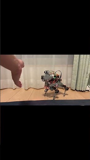 【Raspberry Pi】SunFounder PiDog 犬型ロボット 組み立てから動作・Pythonプログラミングまで #robot #humanoidrobot #robotics