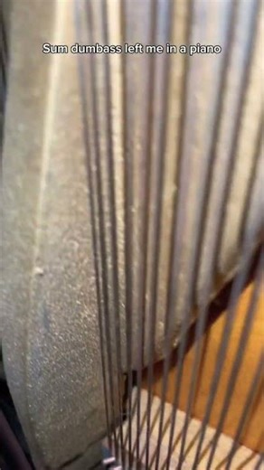 Sum guy left me in a piano