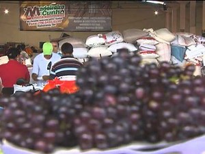 Jornal NBR NOTÍCIAS na íntegra - 31 de outubro