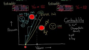 What is contractility?