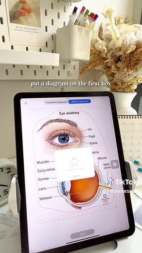 Efficient Medical Notes Template for Clean and Organized Note-Taking