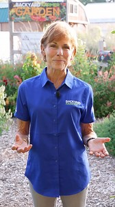 48K views · 508 reactions |  Love gardening? Get expert tips, tricks, and inspiration every week — hit Follow and grow with Backyard Farmer!  | Backyard Farmer | Facebook