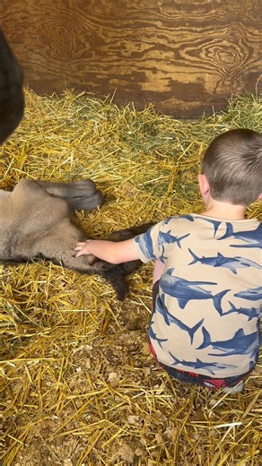 Jace and baby Azzy! I will never get tired of watching these videos of him and her when she was born ❤️❤️ #fyp #love #reels #viral #trending #memories #followers #horses #kids #babies | Rockin K Quarter Horses