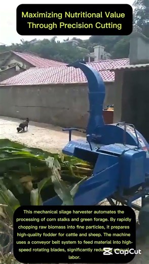 How Mechanical Shredders Revolutionize Agricultural Waste