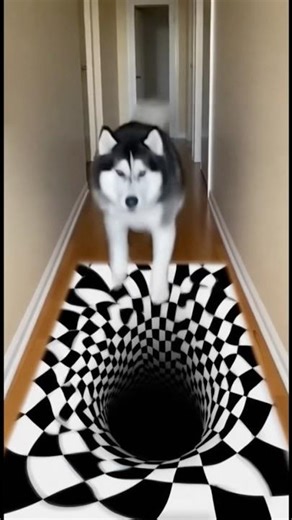 Dubai’s Future AI Lab: Pathfinding.sys CORRUPTED 🚧 Stuck in Loop! 🔄 Syntax Error! 💻