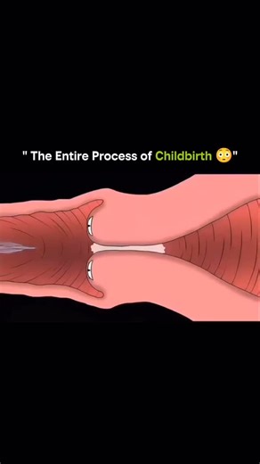 SCIENCE | HISTORY | FACTS | EXPERIMENT on Instagram: "Childbirth is one of the most complex and powerful biological processes in the human body. It happens in three main stages, each guided by hormones, muscles, and precise timing. 1️⃣ Labor Begins: The process starts when the hormone oxytocin triggers regular uterine contractions. These contractions help thin and open the cervix, usually up to 10 cm, creating a safe passage for the baby. 2️⃣ Baby’s Descent: As contractions intensify, the baby s