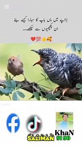 Saliman Khan on Reels