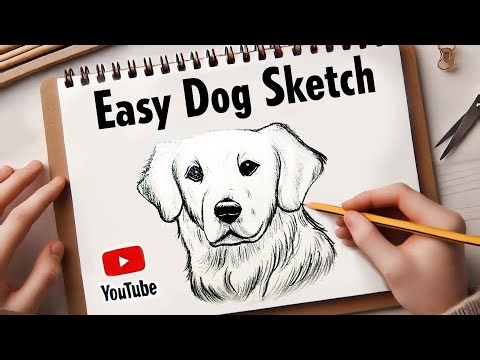 Easy Golden Retriever Sketch Tutorial🐶✏️Beginner Friendly!