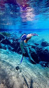 Prettiest spring in Florida 💙 #springs #freediving #freediver #underwater