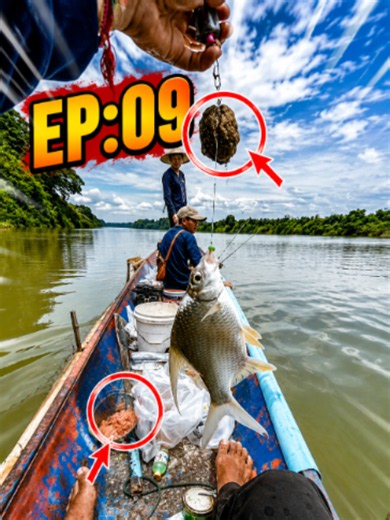 🟨 EP:09 🔴 ພຽງປ່ຽນເຫຍື່ອ...⚪ ປາກິນບໍ່ຢຸດ! 🎣 #ຊີວິດຕິດລຸຍ #เอาขึ้นหน้าฟีดที #อย่าปิดการมองเห็น #หาปลา #fishing #ຫາປາ #ນ້ໍາງື່ມ #ຕຶກເບັດ